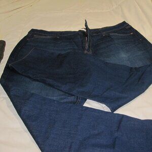 Lauren Conrad Dark Denim Skinny Jean 22W